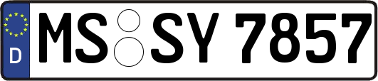 MS-SY7857