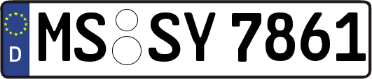 MS-SY7861