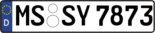 MS-SY7873