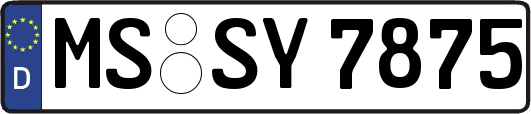 MS-SY7875