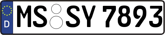 MS-SY7893