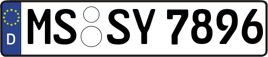 MS-SY7896