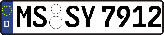 MS-SY7912