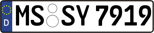 MS-SY7919