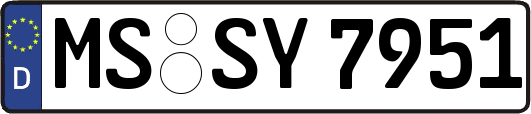 MS-SY7951