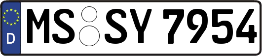 MS-SY7954
