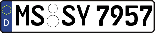 MS-SY7957