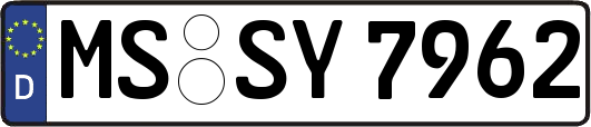 MS-SY7962