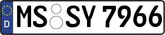 MS-SY7966
