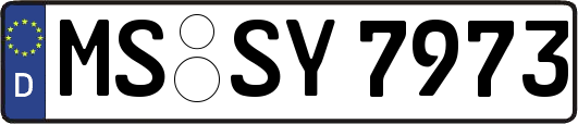 MS-SY7973