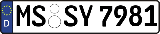 MS-SY7981