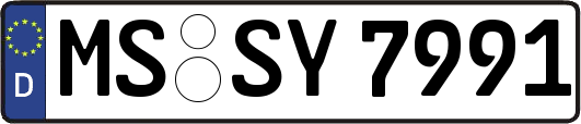 MS-SY7991
