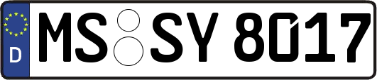 MS-SY8017