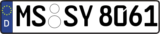MS-SY8061
