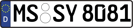 MS-SY8081