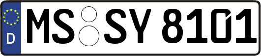 MS-SY8101
