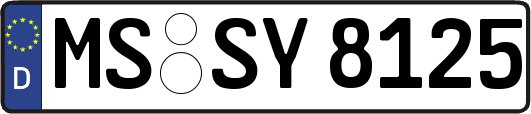 MS-SY8125