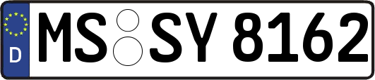 MS-SY8162