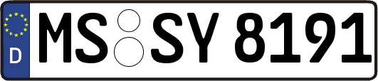 MS-SY8191