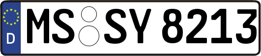 MS-SY8213