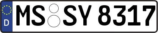 MS-SY8317