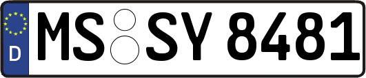 MS-SY8481