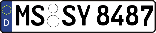 MS-SY8487