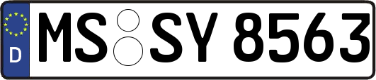 MS-SY8563