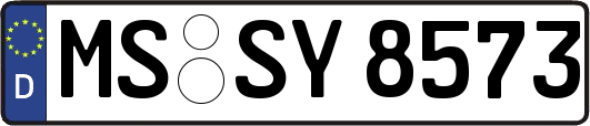 MS-SY8573