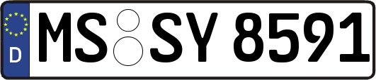 MS-SY8591