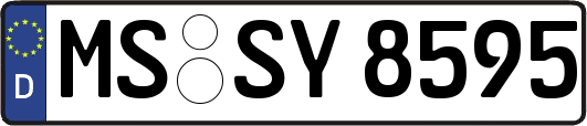 MS-SY8595