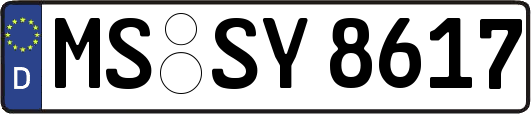 MS-SY8617