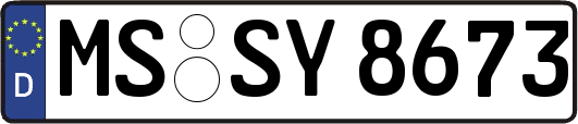 MS-SY8673