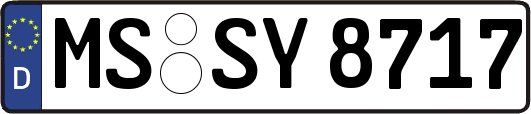 MS-SY8717