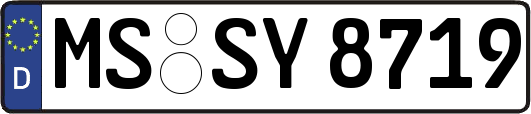 MS-SY8719