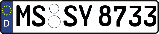 MS-SY8733
