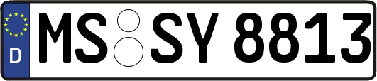 MS-SY8813