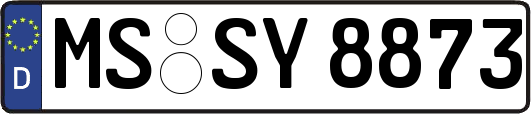 MS-SY8873
