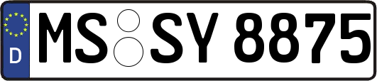 MS-SY8875