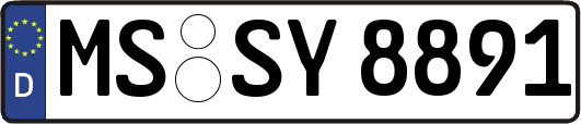 MS-SY8891