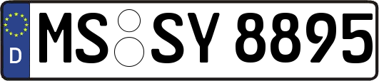 MS-SY8895