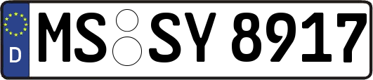MS-SY8917
