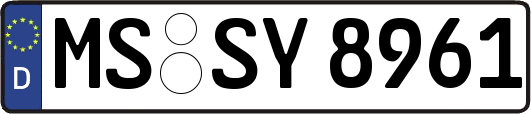 MS-SY8961