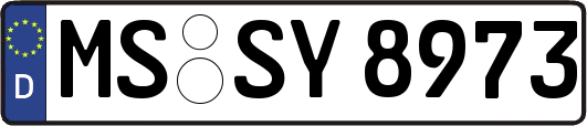 MS-SY8973