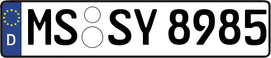 MS-SY8985