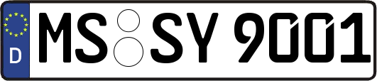 MS-SY9001