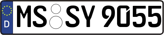 MS-SY9055