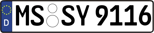 MS-SY9116