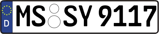 MS-SY9117