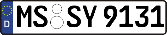 MS-SY9131